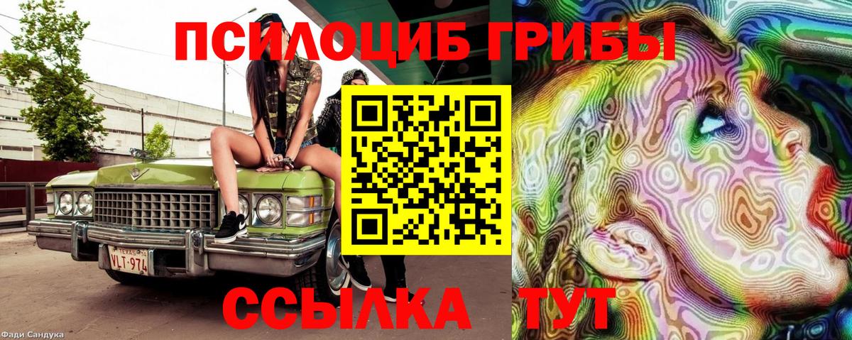 Галлюциногенные грибы мицелий Чистополь