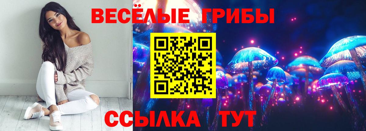 Галлюциногенные грибы Cubensis  Вход с VPN  Чистополь  Псилоцибиновые грибы прущие грибы 